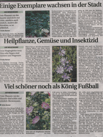SZ-Artikel